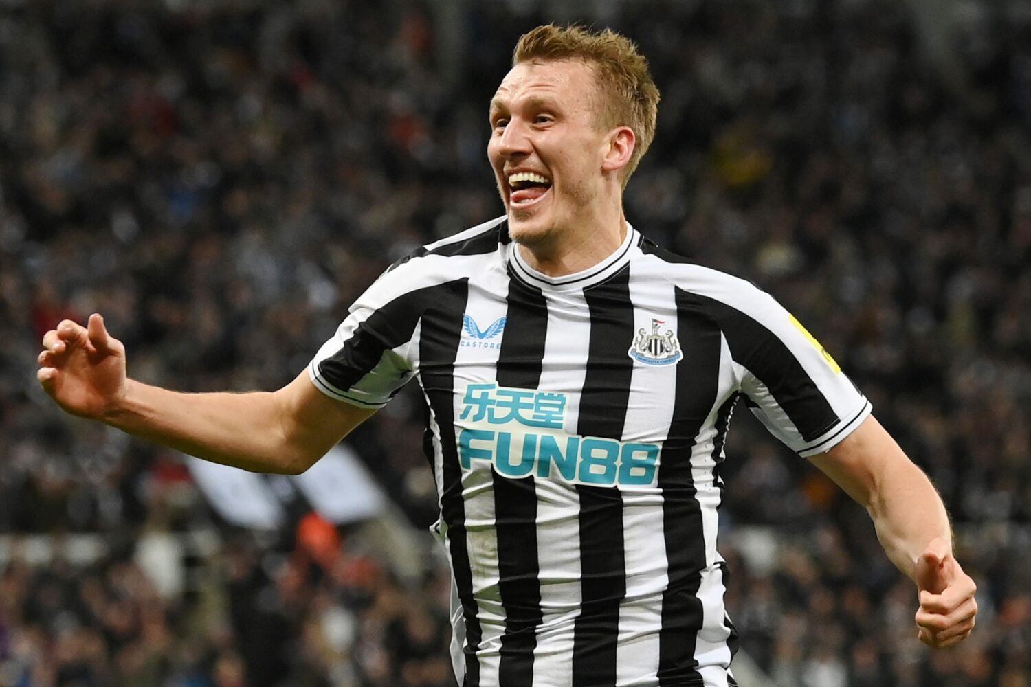 ตัวเลขฟ้อง! นิวคาสเซิลไม่ชนะไบรท์ตัน 6 เกมรวด